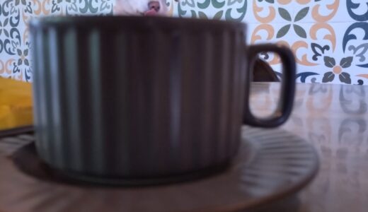 それ1階まで聞こえた。